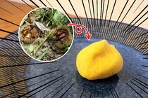 「材料さえ揃えればほぼタダで手に入る」なんてのは素人の浅はかな考えであるということを、栗きんとん作りで痛いほどに思い知らされた