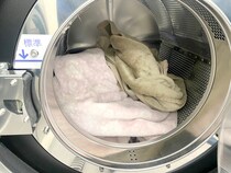 簡単に「幸福度を爆上げ」するならコインランドリーで毛布を丸洗いするしかない