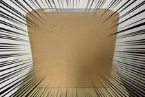 【楽天市場】日用品大手メーカーのB級アウトレット品の詰め合わせ「訳あり福袋」のお得な中身がこちら / キッズアイテムも約5品入っているらしい…しかし！