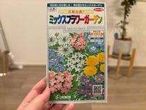 画像をもっと見る