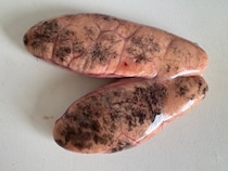 画像をもっと見る