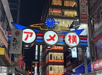 画像をもっと見る