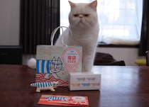 画像をもっと見る