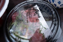 松屋の店舗限定「まぐろ丼」は、チェーンの丼物ではレアなスタイル / なか卯、すき家のマグロとの決定的な違い