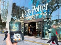 画像をもっと見る