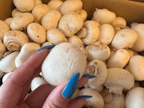 【異論は認めない】秋だ！ マッシュルームの季節だ!! スーパーで死ぬほど安く売ってたので「マッシュルームの一番ウマい食べ方」を教えよう!!!