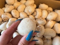 画像をもっと見る