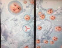 画像をもっと見る