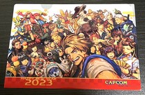 【2023年福袋】カプコン福袋を購入したら、どうしていいのか分からないグッズが入っていて困惑した