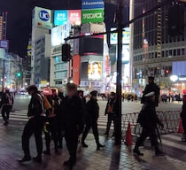 画像をもっと見る