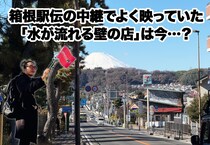 画像をもっと見る