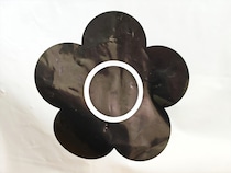 画像をもっと見る