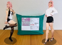 楽天1位の「コスプレ働くお姉さん福袋」を開けたら、世の中がいかにはしたなく、けしからんのか理解できた