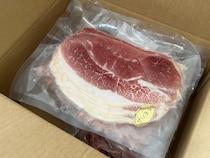 画像をもっと見る