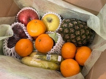 「高級フルーツが届くかも」って本当？ 楽天で売っている『訳ありフルーツ福袋』を検証 → パイナップルの美味さに全てを忘れた