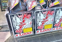 画像をもっと見る