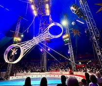 【感動】20年ぶりに見た「木下大サーカス」が最高だった / 最高すぎて逆にどう伝えていいかわからないほど最高