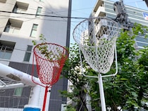 【えっ】最近の「運動会」が昔とは全然違った話 / 大きく違うのはこの3つ