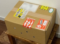 【フードロス救済】楽天で見つけた「訳ありでB級なフルーツ福袋」を開封したら落差が激しくて笑った / 2024福袋