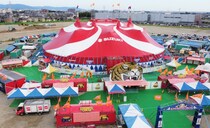 【感動回】札幌で拾われた野良猫がサーカス団の仲間になり…九州で幸せを見つけた話 / 木下サーカスの思い出：第17回