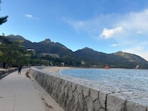 画像をもっと見る