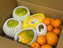 【最高か】品名に「ナゾ」と書かれているフルーツ福袋を開封したら…マンゴーが！ 福袋2026