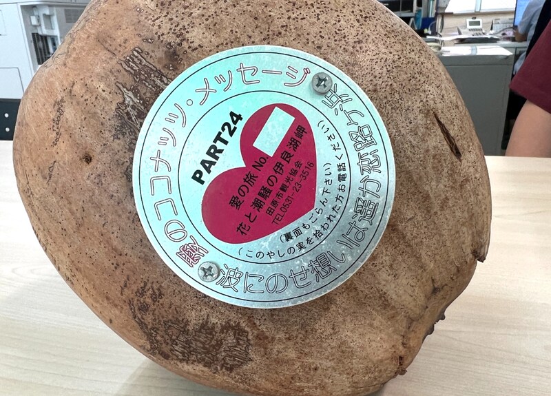 【約1600kmの旅】石垣島から100個のヤシの実を海に流した結果 → 4ヶ月後に届いた数がエモすぎた