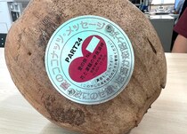 画像をもっと見る