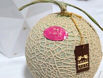 画像をもっと見る