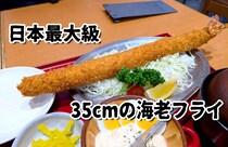 日本最大級！ 35センチの「特大海老ふりゃ～」を食べてみた / 名古屋の海老フライとタモリさんの意外な関係