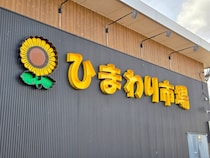 画像をもっと見る