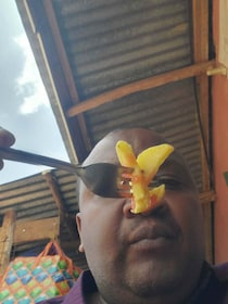 画像をもっと見る