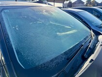 画像をもっと見る