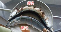 「秋刀魚は焼くんじゃなく茹でろ」ってSNSでバズってたから “焼き” と “茹で” を食べ比べてみた結果 → ある部位の味が変わってる
