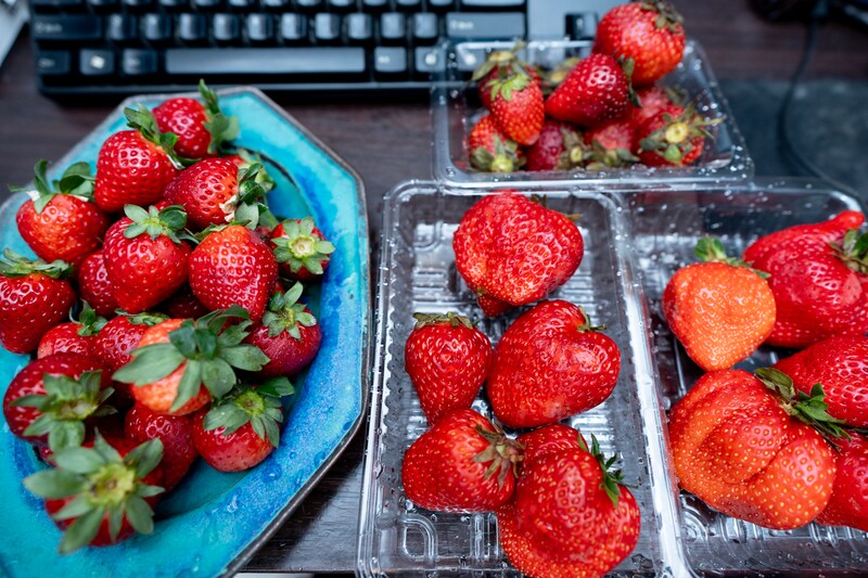 苺ガチ勢が熱弁する埼玉の苺「あまりん」が、新手の果物レベルで甘い / 埼玉民も知らぬまに苺業界の覇者に