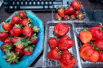 画像をもっと見る