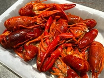 画像をもっと見る