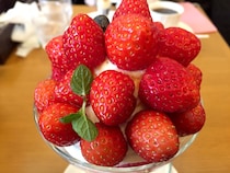 【保存版】「スイーツの日」特別企画！ ロケットニュース24の記者たちが強烈にオススメする『絶品スイーツ』12連発!!