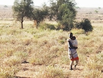 【ケニアの神話と迷信】「妊婦は卵を食べてはいけない」と多くの部族で信じられているが、もし食べたらどうなるの？ カンバ通信：第446回