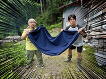 【新常識】ハンモックを木に吊るすのは素人！ プロは人力で揺れる