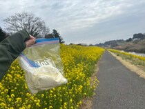 画像をもっと見る