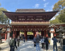 画像をもっと見る