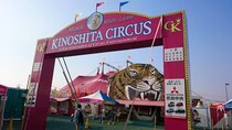 【嘘だろ】サーカスに待望の後輩が入団 → 年上のクソ怪しい男で泣いた / 木下サーカスの思い出：第6回