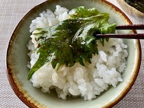 定年退職後に料理をはじめた父の「大葉漬け」がヤミツキ必至の美味しさでご飯がとまらない/ 大葉の大量消費にもオススメ！