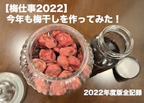 【梅仕事】今年も梅干しを作ってみた！ 2022年度版全記録