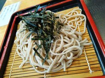 【立ち食いそば放浪記370】旭川駅『なの花食堂』でざるそばを注文したらそばが江丹別産だった。さすが旭川の駅そば！