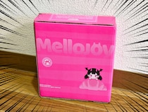 秒で売り切れるスクイーズ『メロジョイ』を1ヶ月で何回買えるかチャレンジしてみた【無理ジョイ】