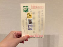 画像をもっと見る