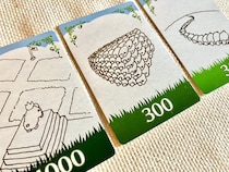 人生で初めて1人用のカードゲームで遊んでみたら…あれっ、私本当に1人でプレイしてた？