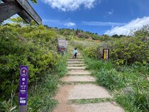熊出没ニュースが続く今、初心者でも登りやすい筑波山に行ってみた / 徒歩とロープウェイで往復3時間のちょうどいい冒険だった